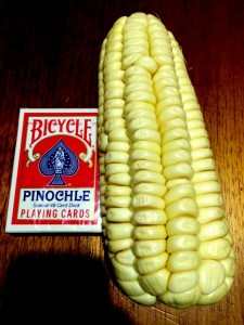 Pervuian Corn with Huge Kernels