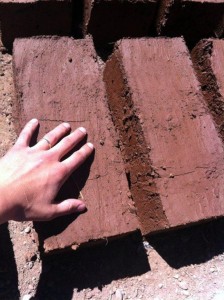 Adobe bricks drying in the sun